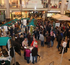 Weinfest, Plus City Linz